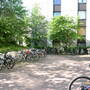 hof3.jpg