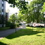 waschwiese12b.jpg