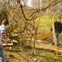 dsc00221.jpg