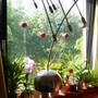athome1.jpg