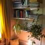 athome3.jpg