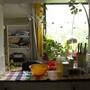 athome6.jpg