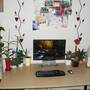 athome7.jpg